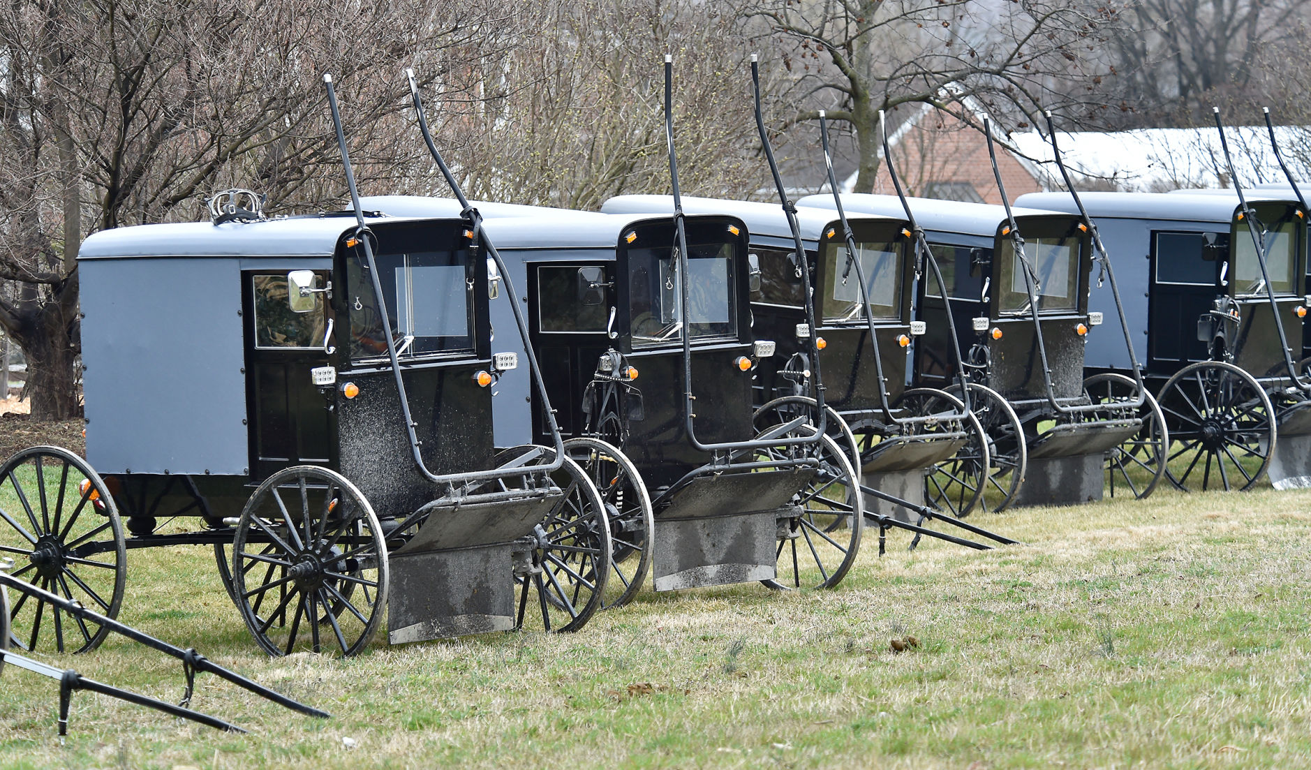 Amish Wedding 2.jpg